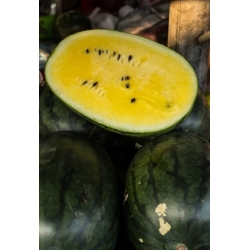 nasiona owoców Arbuz, kawon - mix odmian